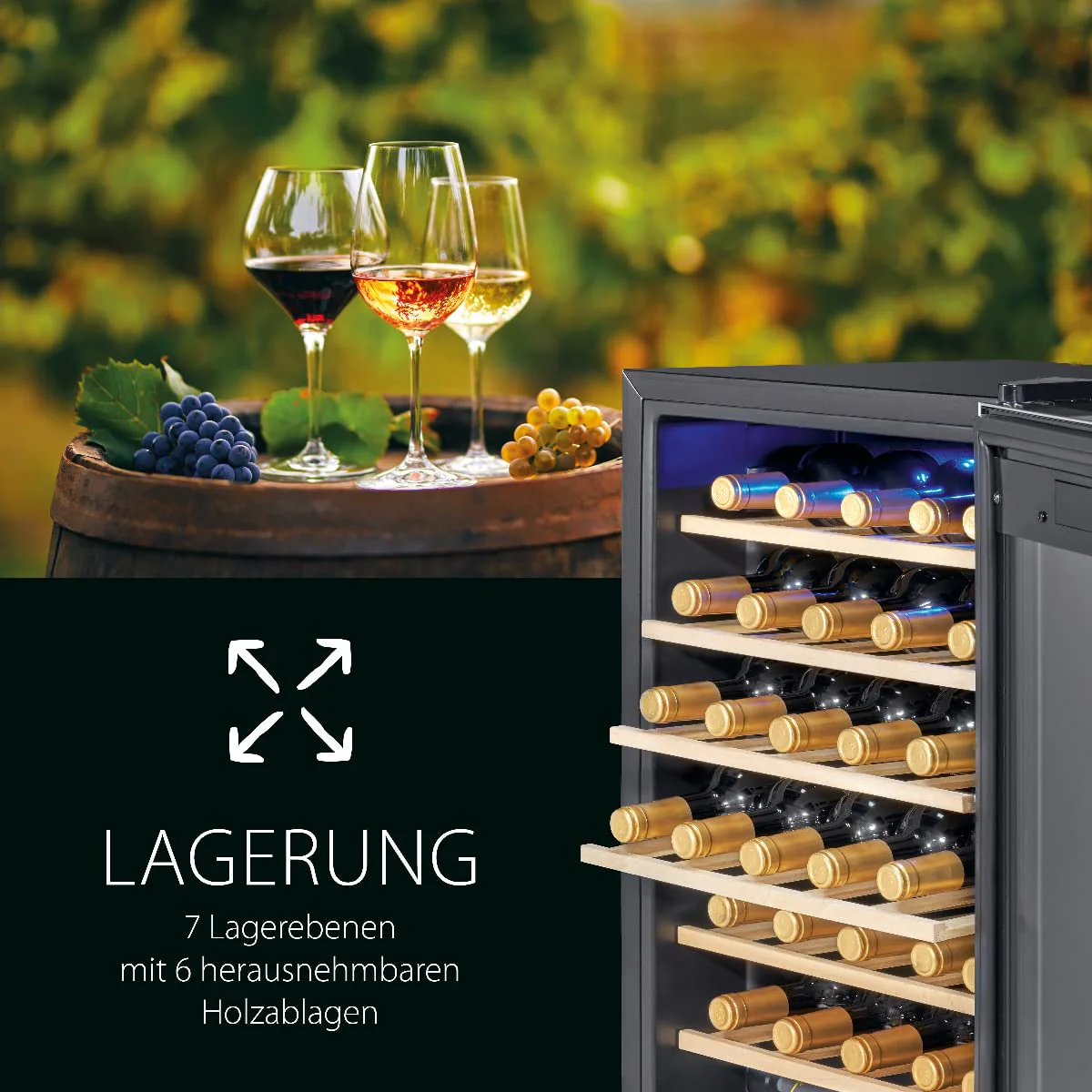 Vorschaubild 5