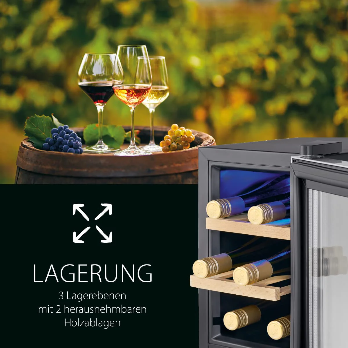 Vorschaubild 7