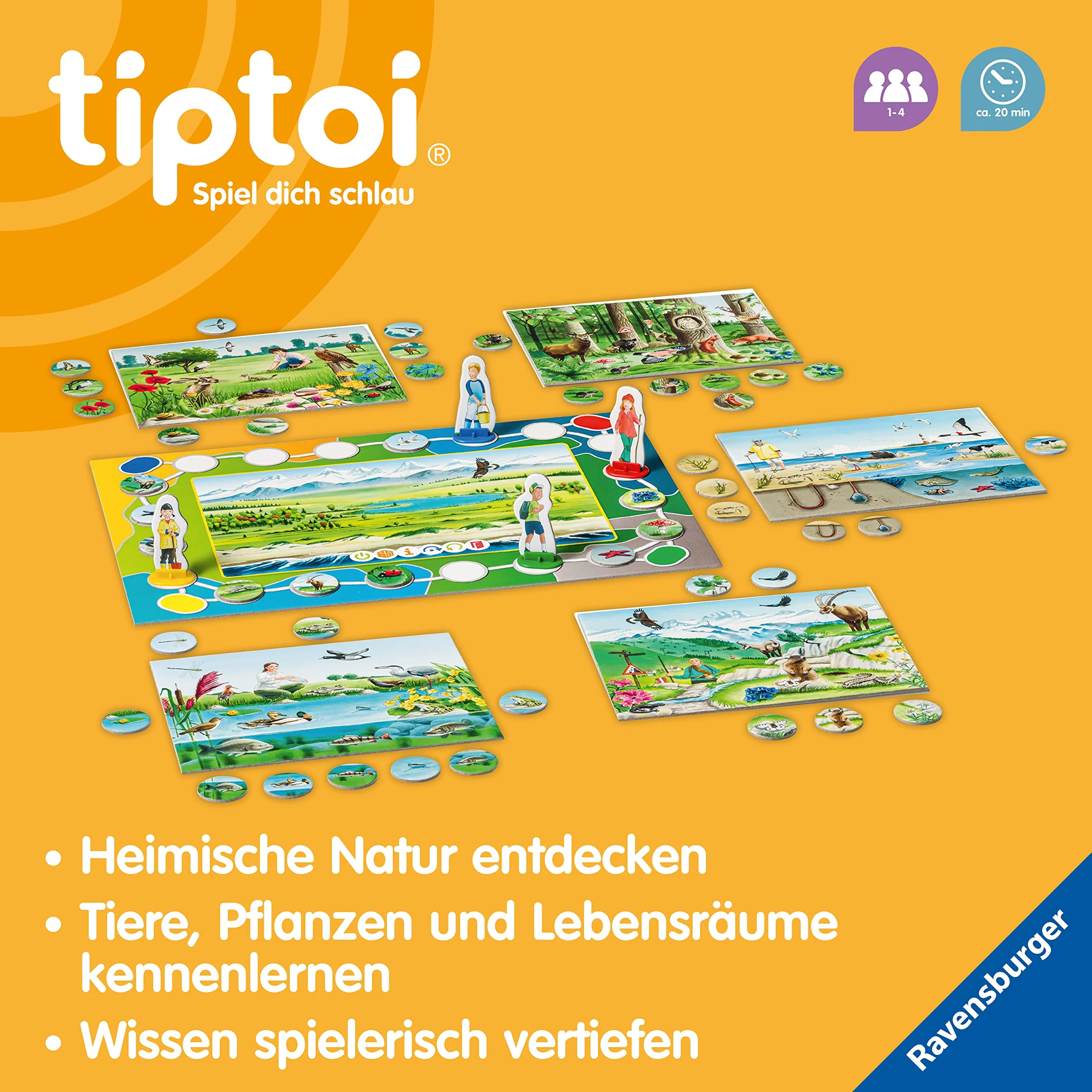Vorschaubild 6