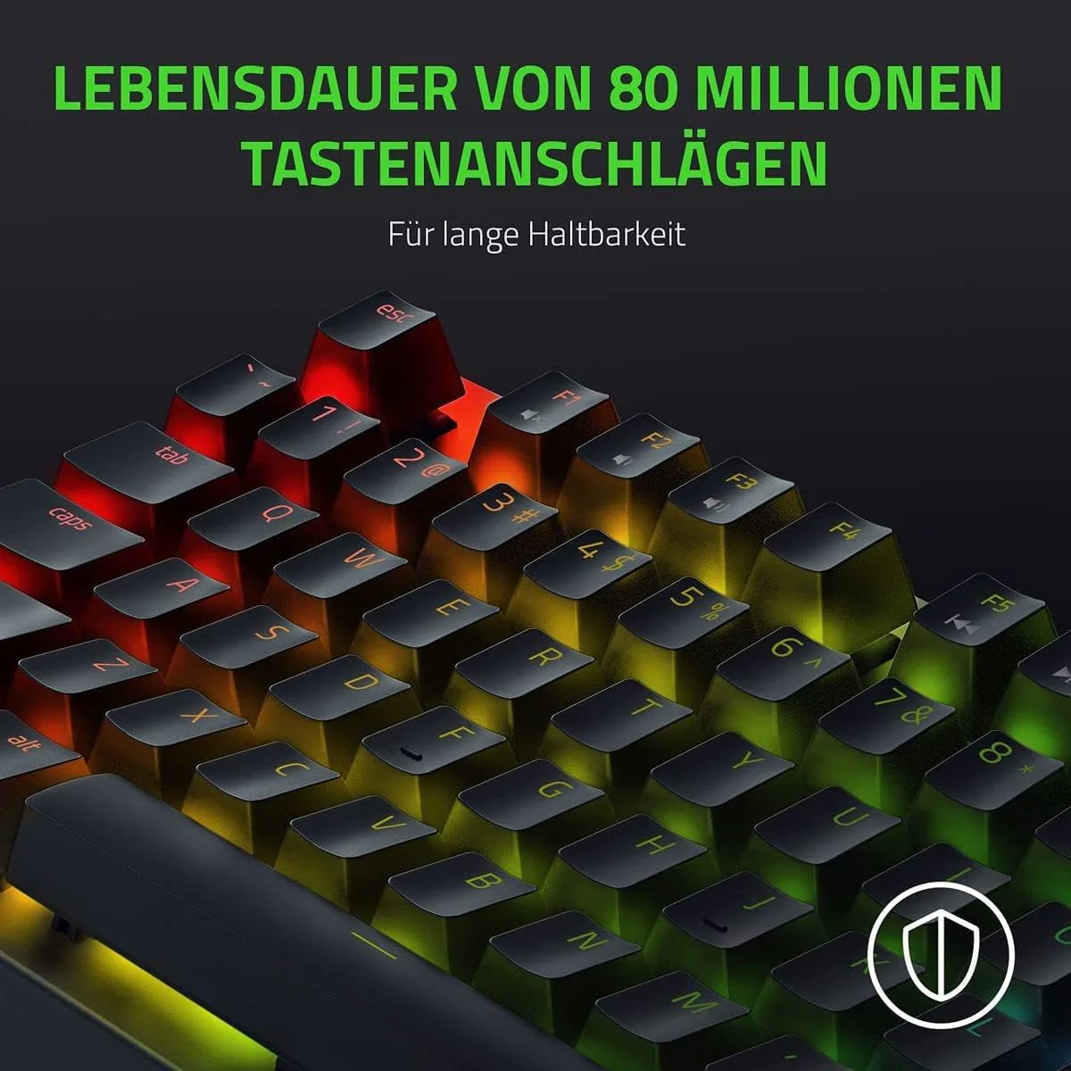 Vorschaubild 4