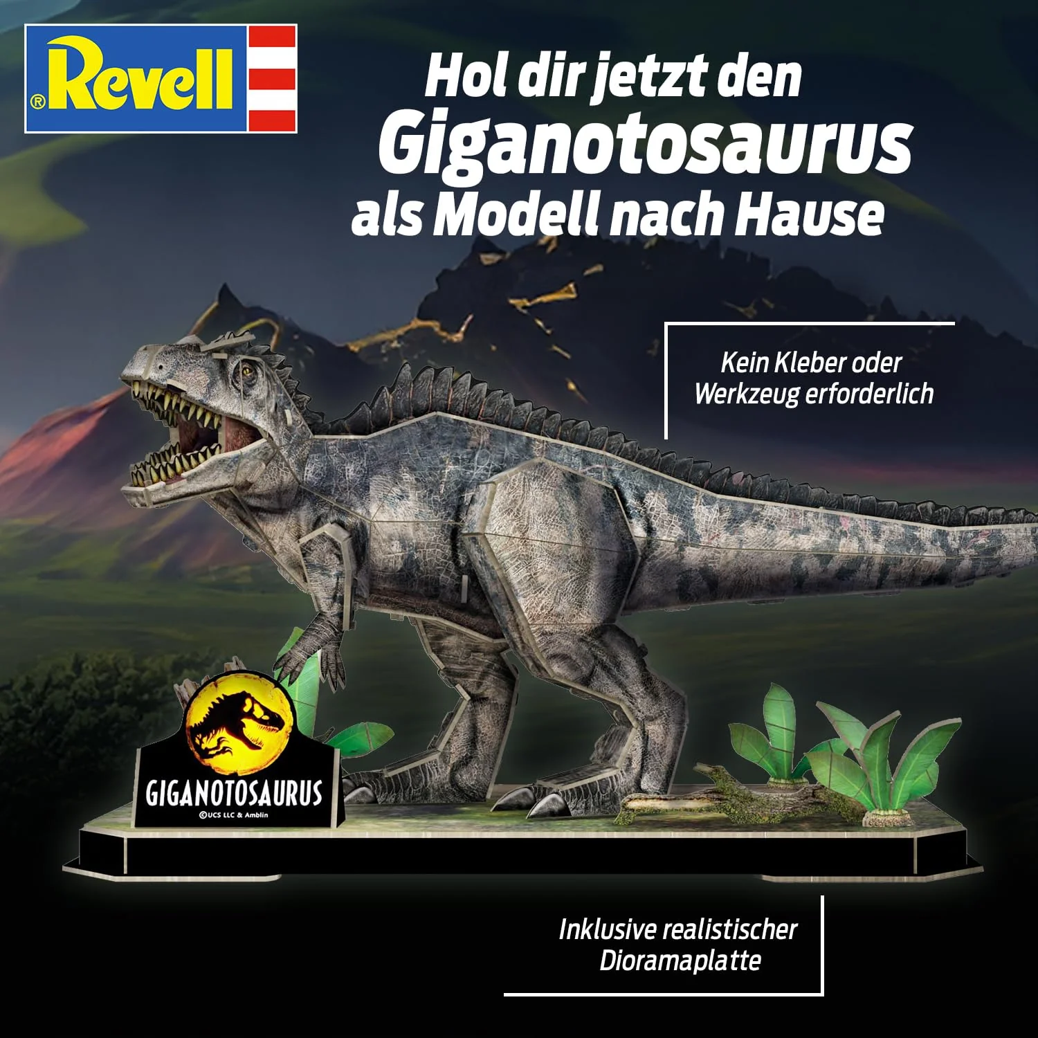 Vorschaubild 5