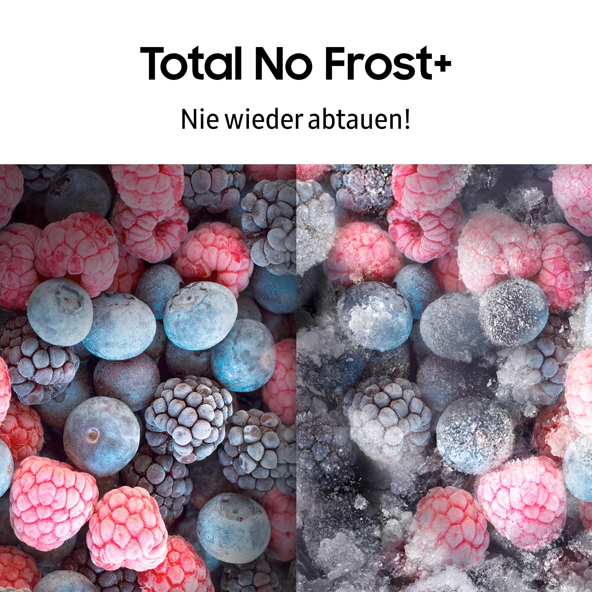 Vorschaubild 7