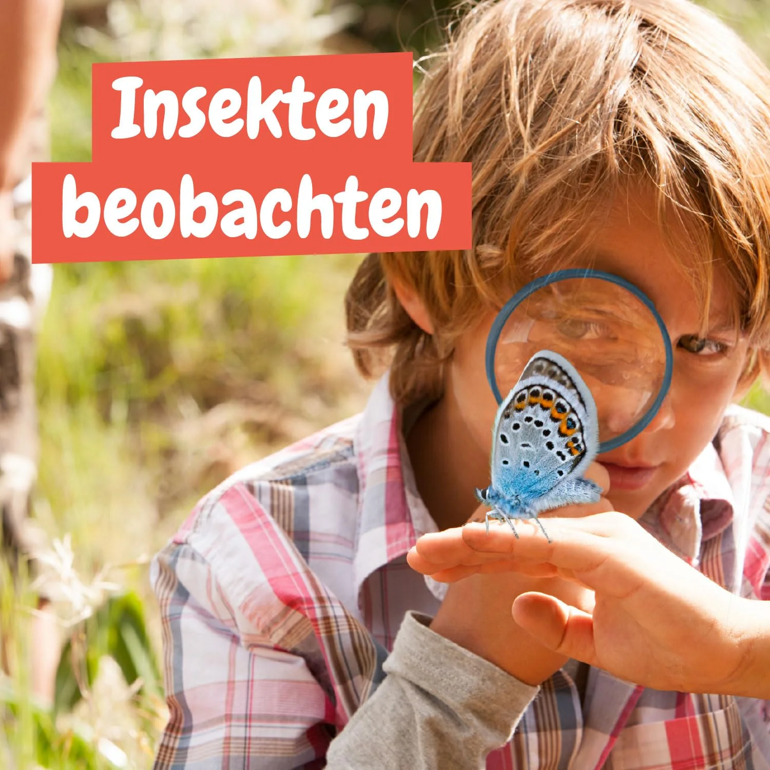 Vorschaubild 4