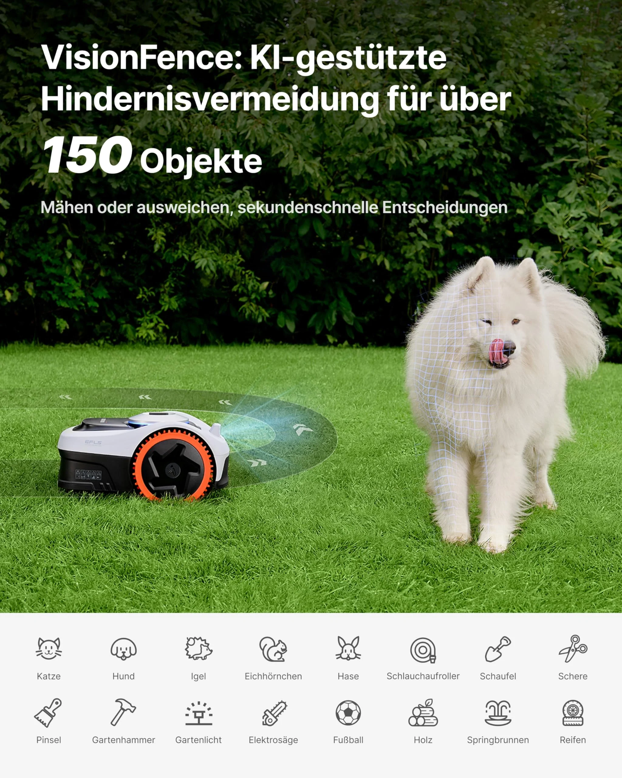 Vorschaubild 8