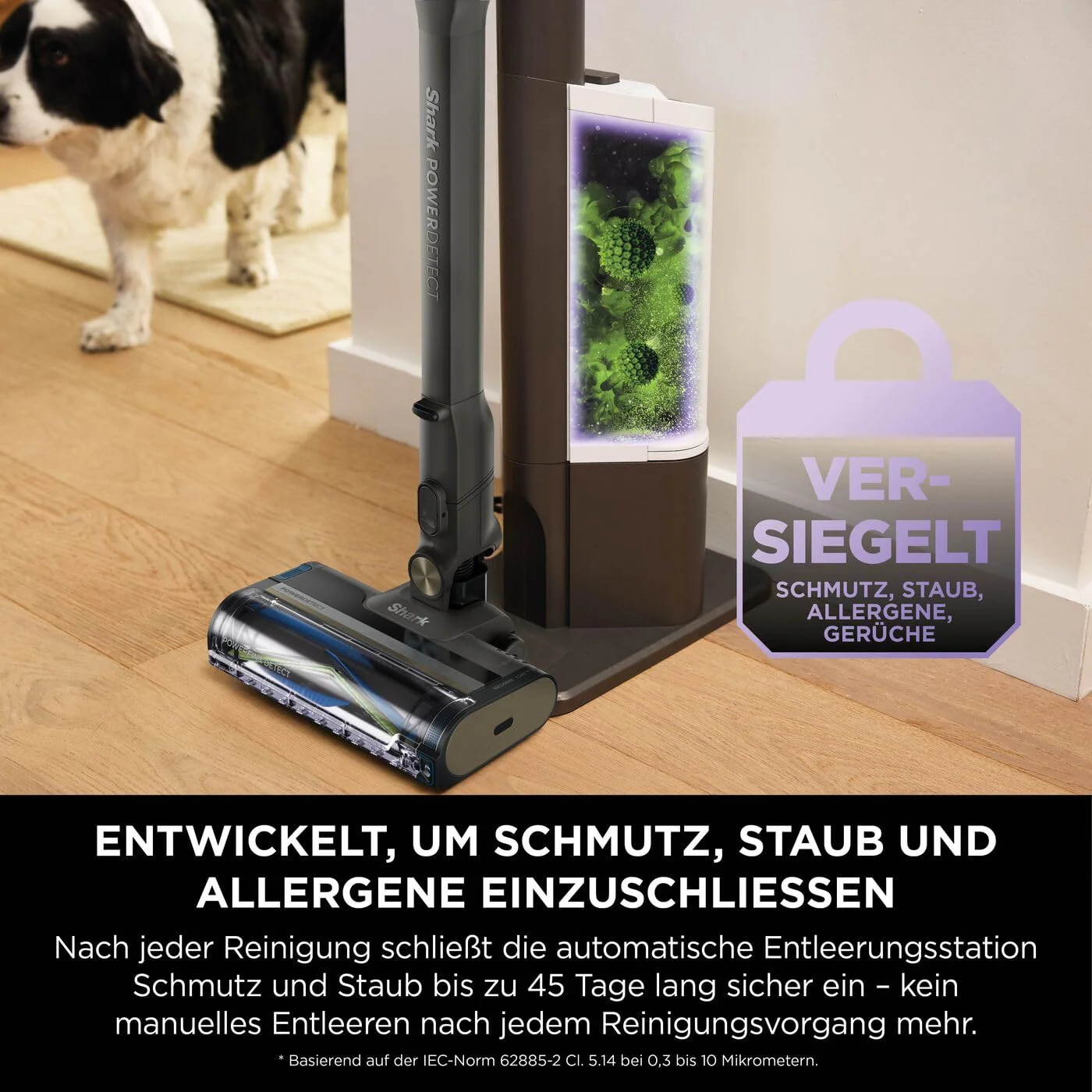 Vorschaubild 11