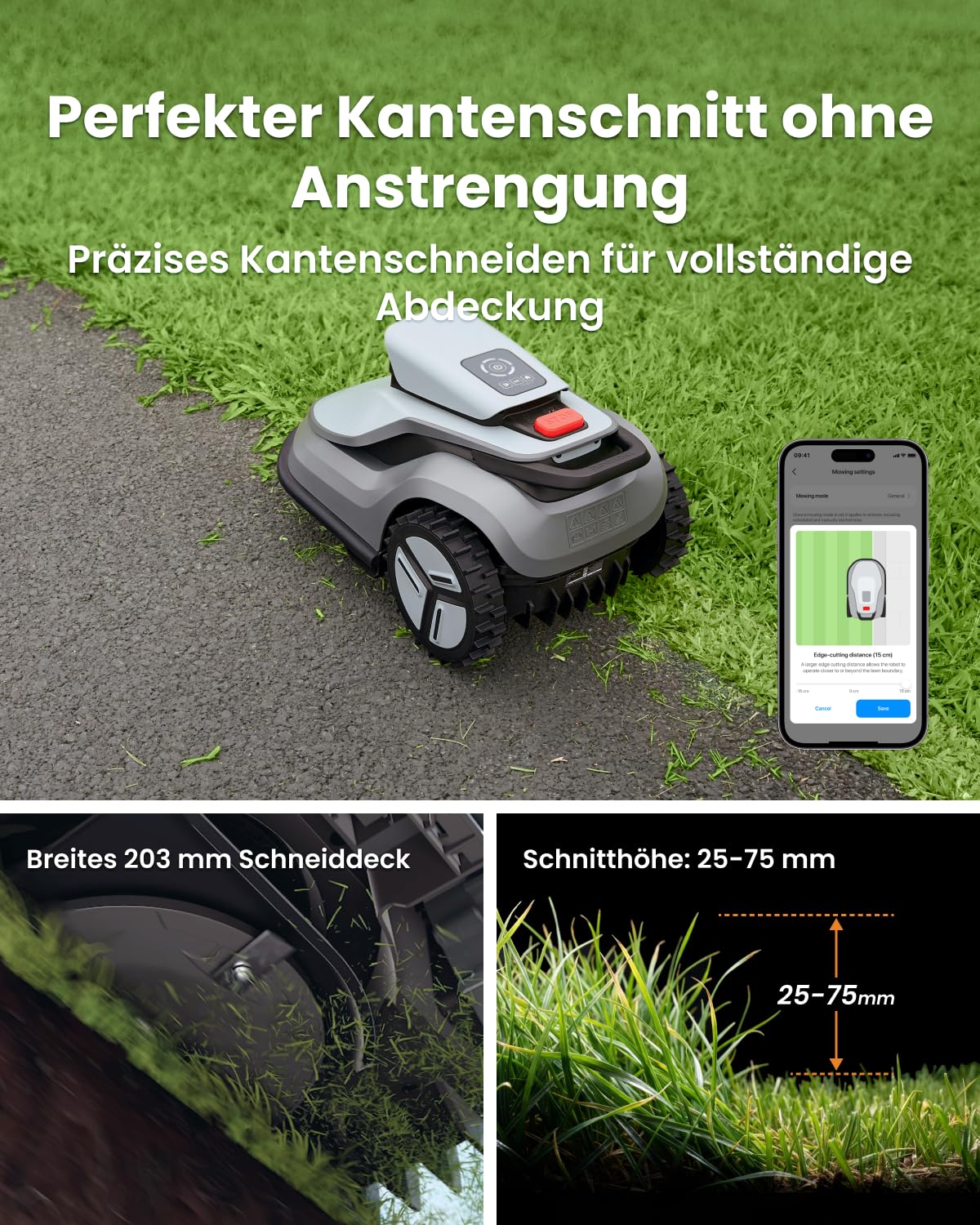 Vorschaubild 5
