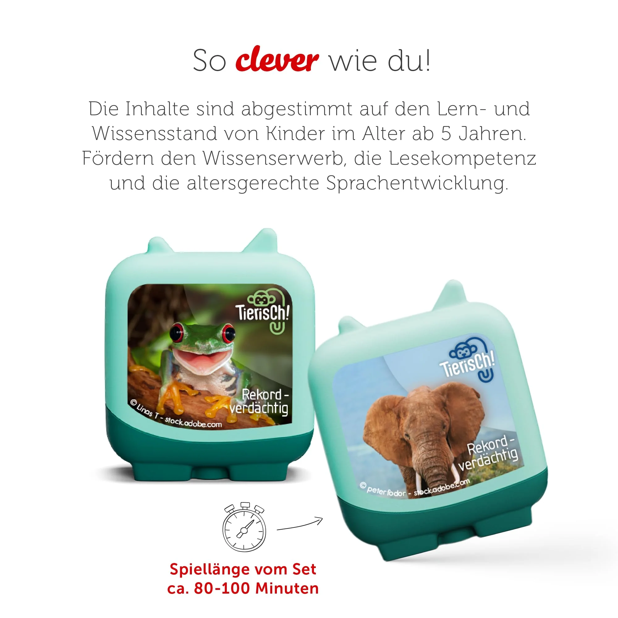 Vorschaubild 7