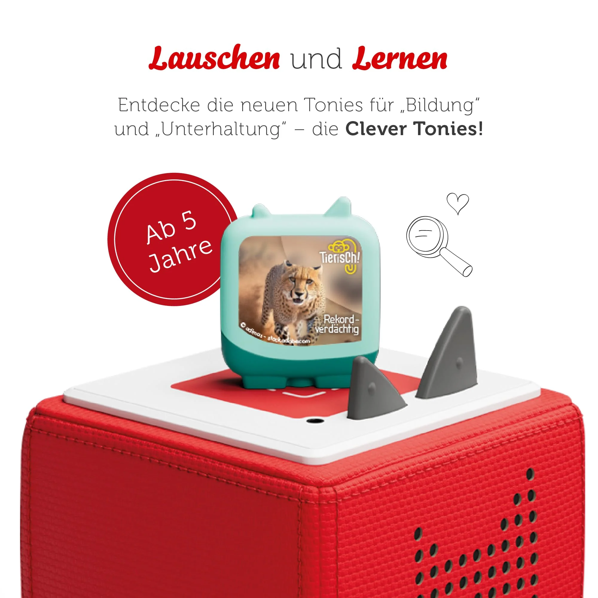 Vorschaubild 8