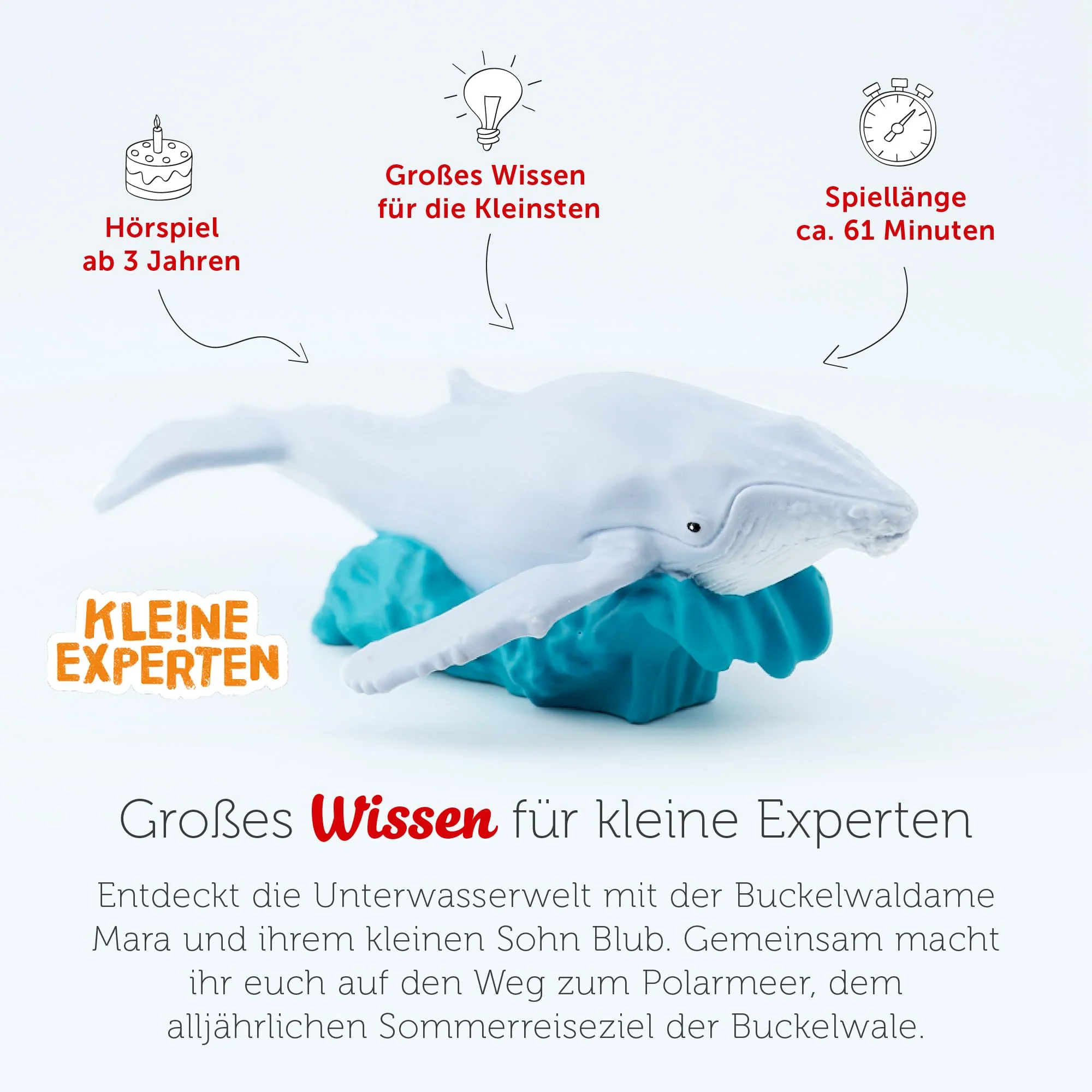 Vorschaubild 6