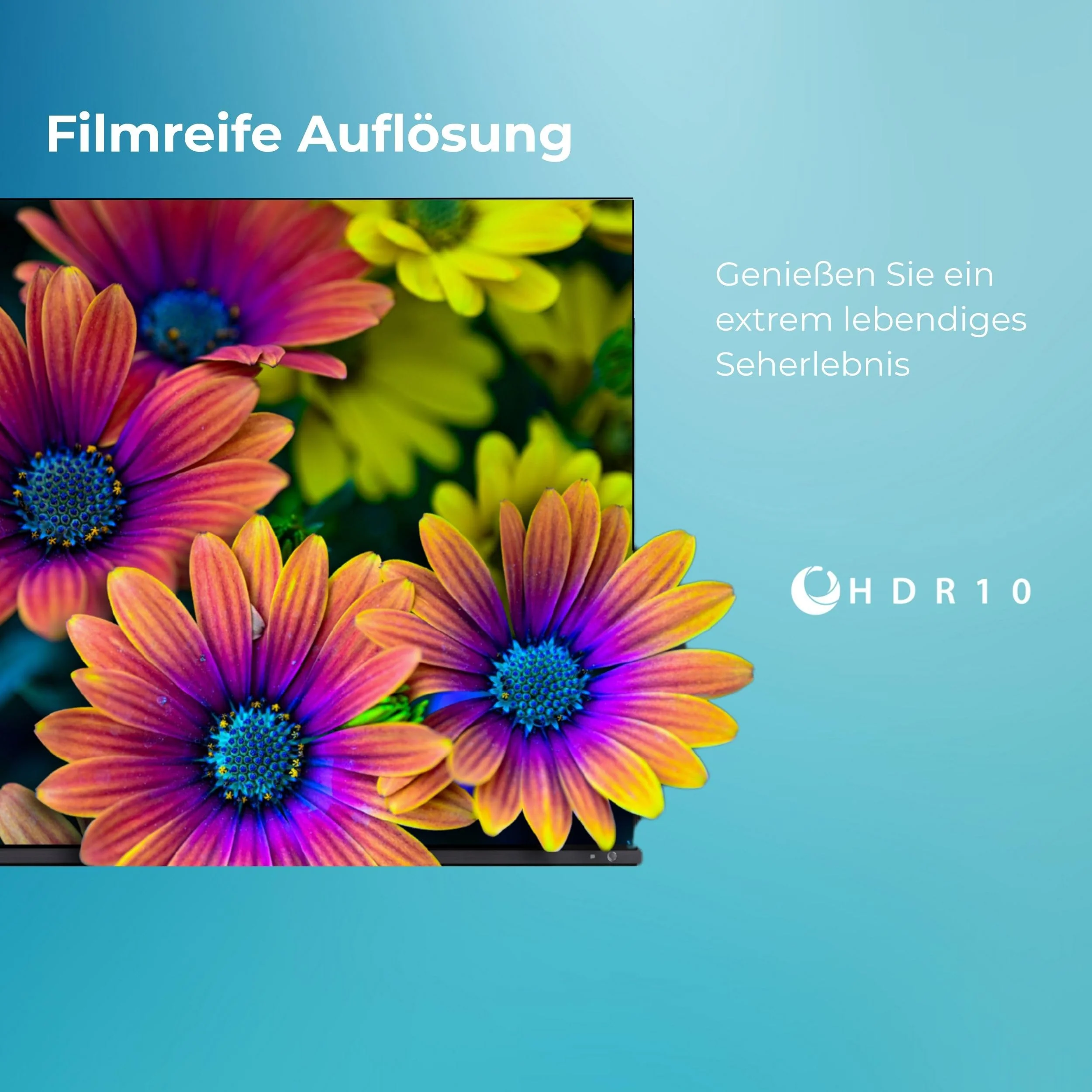 Vorschaubild 8