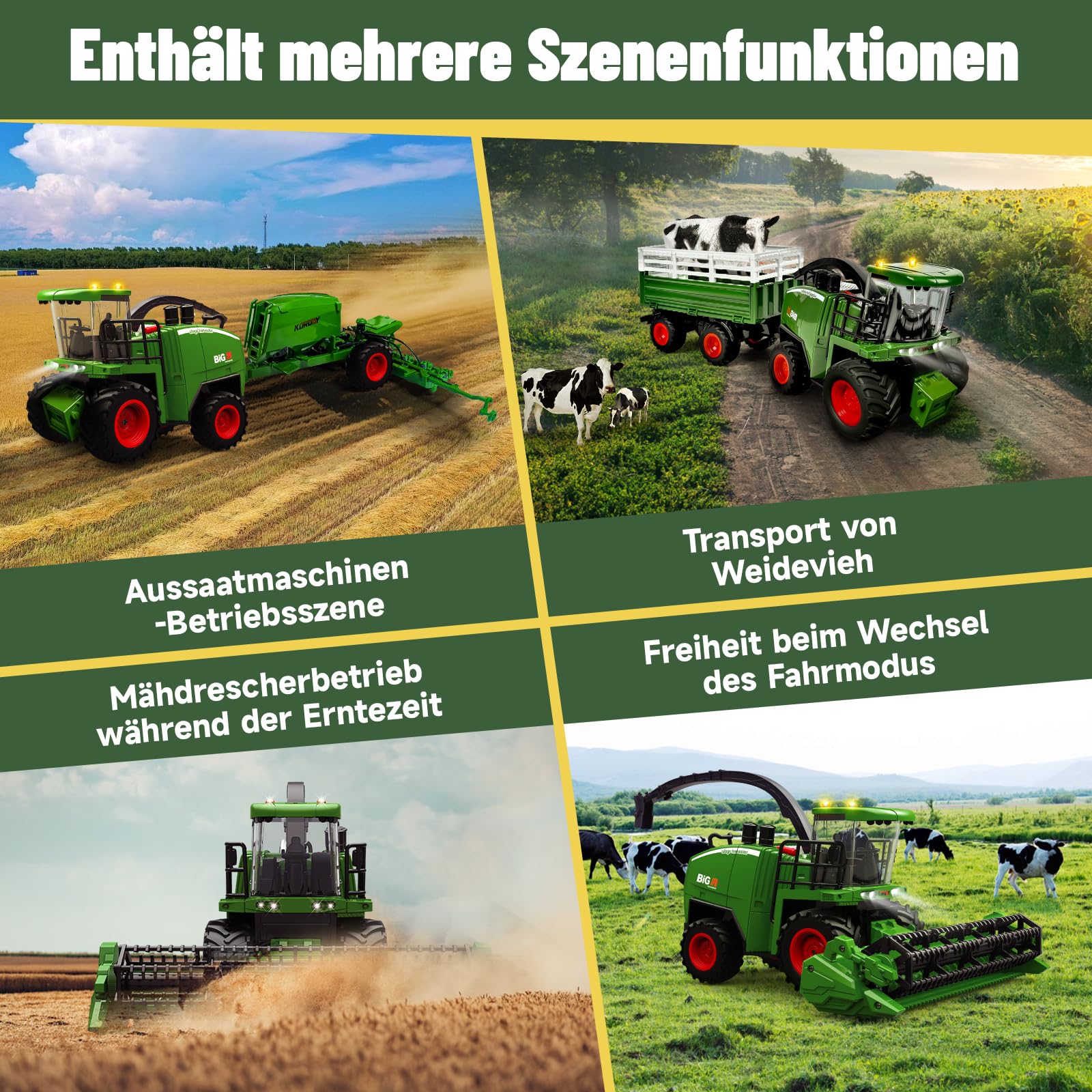 Vorschaubild 3
