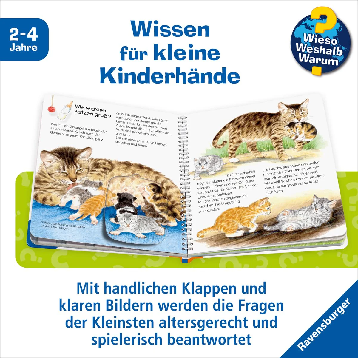 Vorschaubild 5