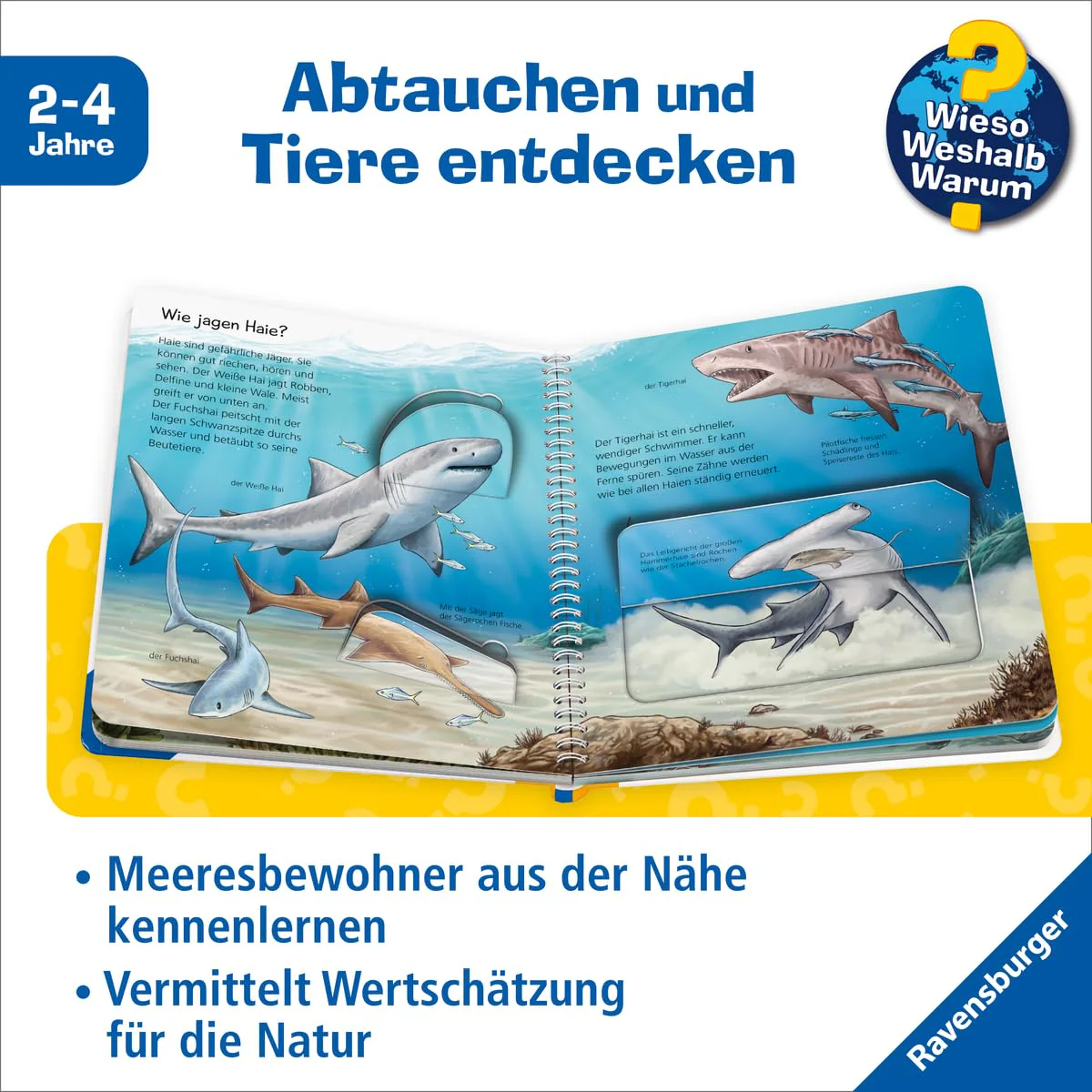 Vorschaubild 6
